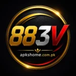 883V Game