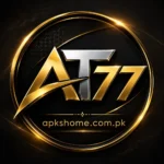 AT77 Game