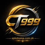 CT999 Game
