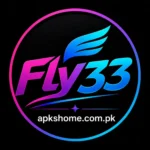 Fly33 Game