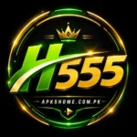 H555 Game
