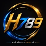 H789 Game