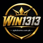 WIN1313 Game