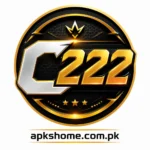 C222 Game