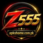 Z555 Game